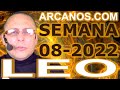 Video Horscopo Semanal LEO  del 13 al 19 Febrero 2022 (Semana 2022-08) (Lectura del Tarot)