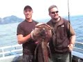 Alaska Fishing - Salmon Halibut Ling Cod - Seward, AK