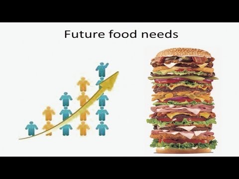 Food Population and Security - Water Climate and Society: Challenges in a Rapidly Changing World