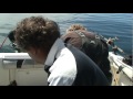 2012 Halibut Fishing Charter in Victoria B.C.