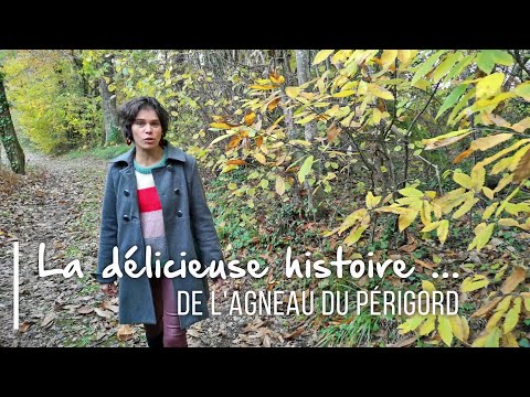 Gastronomie : l'Agneau du Périgord
