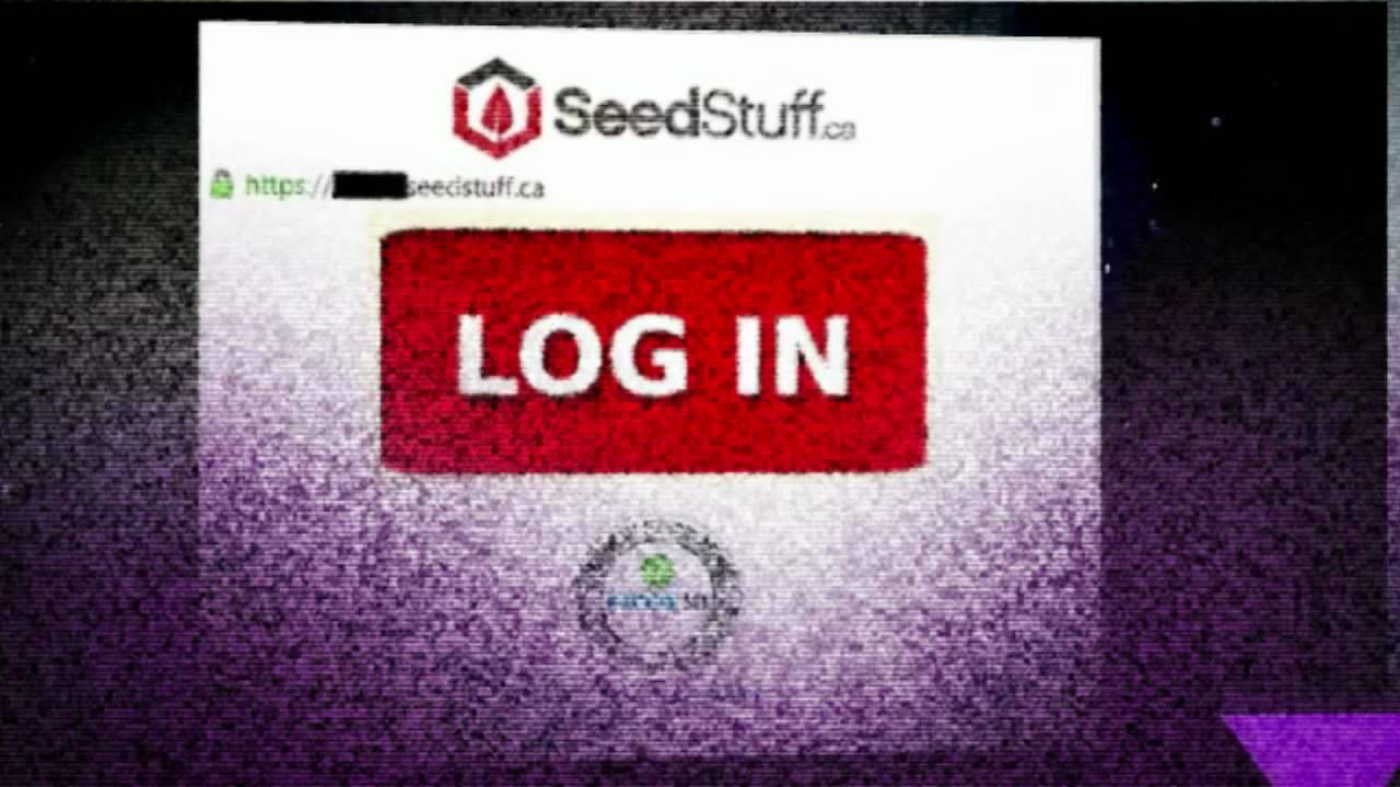 Torrent Seedbox Best Torrent Seedboxes - YouTube