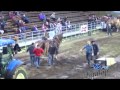 Tire de chevaux St-Antonin vidéo 01
