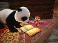 Kinectimals now with Bears Kinect Playthrough Part 1