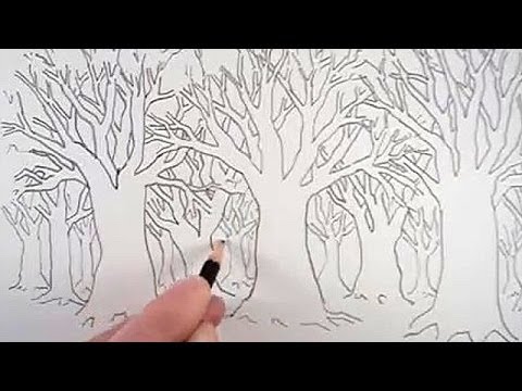 How to Draw a Tree and a Forest - YouTube