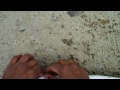 fishing california aqueduct for stripers!!!!