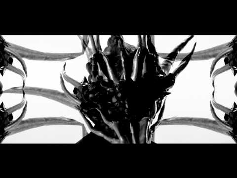 Monarchy - Living Without You