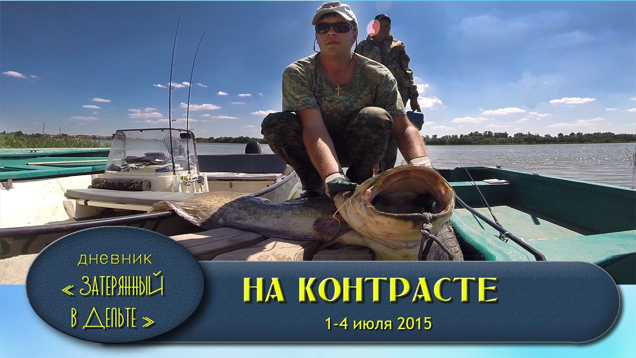 сом на экране эхолота сом на экране эхолота