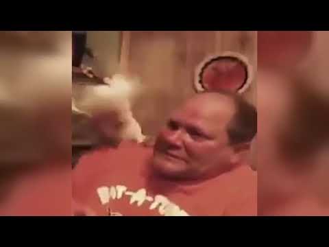 Funny Birds That Will Melt Your Heart