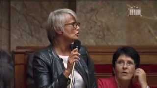 Dérapage sexiste de l'UMP contre une députée écologiste