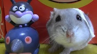 ハムスター花ちゃん　マクドナルドのアンパンマンハウス　Hamster, McDonald's house