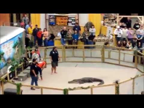 Paul Bedard Gator Boys