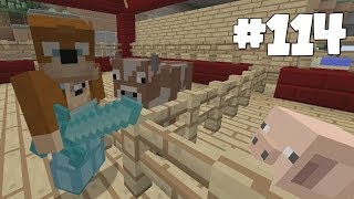 Minecraft Xbox - Slippery Survival - Finished Farm!! [114]