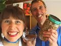Thumbnail 1 for How To Grow Bean Sprouts Thumbnail 1 for How To Grow Bean Sprouts