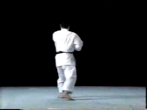 Shito-Ryu International Karate Do Kai Official Website
