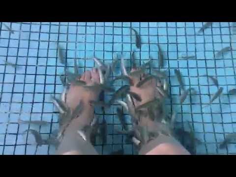 Педикюр с рыбками Гарра Руфа - фиш-пилинг