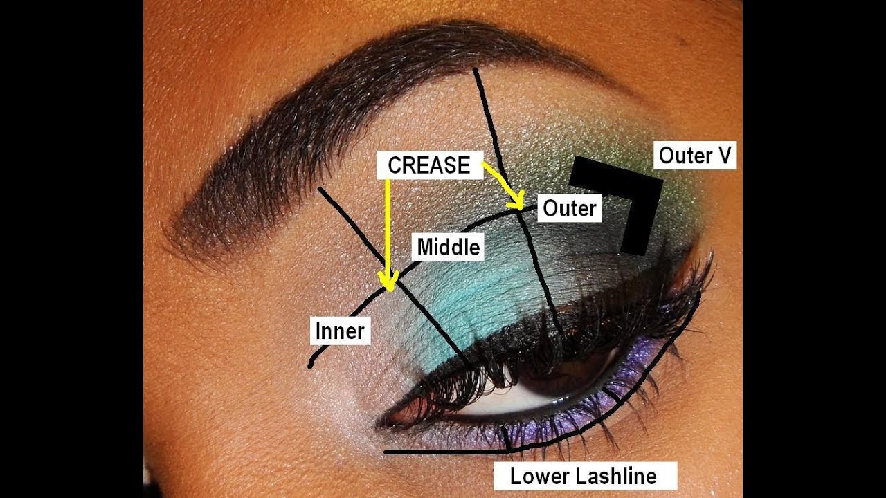 BASICS | Parts of the Eye & Eyeshadow Placement - YouTube