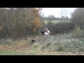 winter pasture-on les a eu!