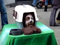 The Dog entertainer Funny hilarious living statue performance in London amazing people ( Humor )