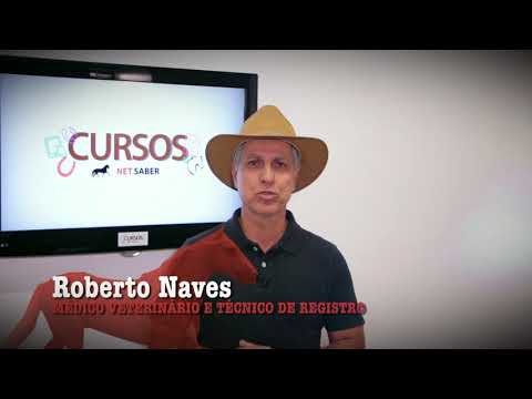 CURSO PROVA FUNCIONAL MARCHADOR IDEAL - ROBERTO NAVES - NET SABER