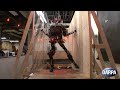 DARPA's Pet-Proto Robot Navigates Obstacles