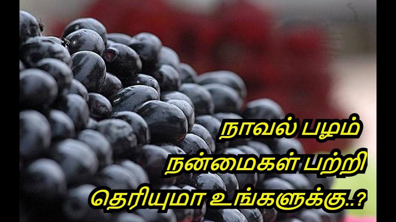 Benefits & Uses of Jamun Fruit in Tamil | Naaval Pazham | Diabetes | Healthy Life - Tamil.