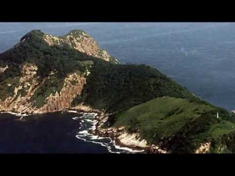 Youtube snake island brazil share Opinion the Youtube snake island brazil remarkable, rather