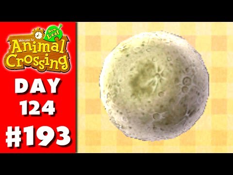 Hình ảnh trong video Animal Crossing: New Leaf - Part 193 - Buying