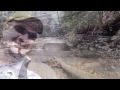 fly fishing lake erie steelhead march 10th 2013 abel