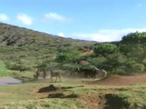 Rano Aroi Crater Lake