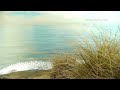 Beautiful Light Music - easy smooth inspirational - long playlist by relaxdaily