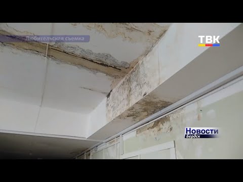 Сырость, плесень и грибок – дополнительная «терапия» в Бердске в больнице на Боровой, 109 Сырость, плесень и грибок – дополнительная «терапия» в Бердске в больнице на Боровой, 109
