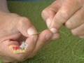 Sistema para pescar tilápias com capim