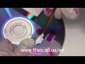 Китайская роспись - розовые цветы Китайская роспись - розовые цветы