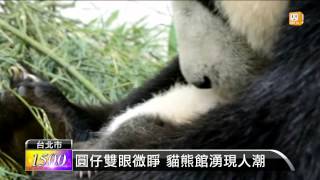 【2013.08.18】圓仔雙眼微睜 貓熊館湧現人潮 -udn tv