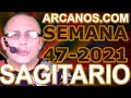 Video Horscopo Semanal SAGITARIO  del 14 al 20 Noviembre 2021 (Semana 2021-47) (Lectura del Tarot)