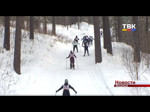 Искитимские школьники приступили к сдаче нормативов ГТО Искитимские школьники приступили к сдаче нормативов ГТО