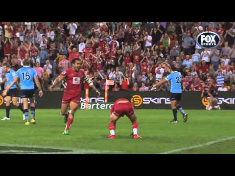 Beginners guide to the Reds | Super Rugby Video Highlights