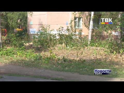 У жителей дома Микрорайон, 59 есть ряд претензий к муниципальным службам Бердска У жителей дома Микрорайон, 59 есть ряд претензий к муниципальным службам Бердска