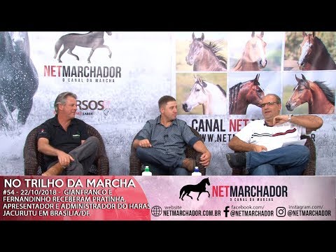 #54 - 22/10/2018 - PRATINHA APRESENTADOR E ADMINISTRADOR DO HARAS JURUCUTU - MANGALARGA MARCHADOR