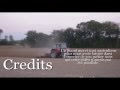 Semis de maïs semences avec deux Massey Fergusson