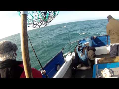 Shande 3 Pollock Fishing February 2015