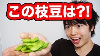 問題発生！２ヶ月経ったマスオの枝豆はどうなった！