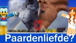 DE LIEFDE VOOR PAARDEN - MINECRAFT