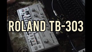 Roland TB-303