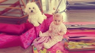 BABY & DOG BEST FRIENDS!