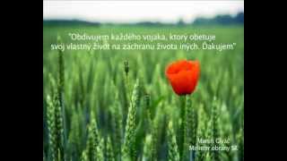 Symbolom Dňa vojnových veteránov je kvet vlčieho maku