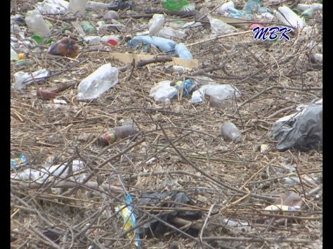 Свалка мусора в центре Искитима. Кто виноват? Свалка мусора в центре Искитима. Кто виноват?