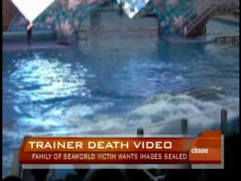 dawn brancheau death blackfish attack leaked sealed wants family