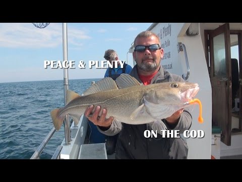 Peace & Plenty charter boat out of Weymouth with Allan Yates from Seabooms.com